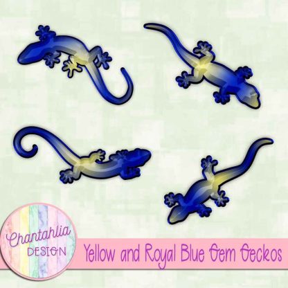 Free yellow and royal blue gem geckos