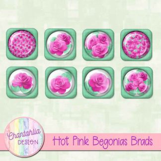 Free brads in a Hot Pink Begonias theme