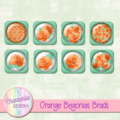 Free brads in an Orange Begonias theme