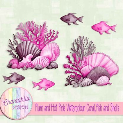 Free plum and hot pink watercolour coral fish and shells