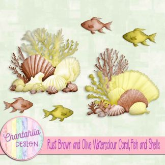 Free rust brown and olive watercolour coral fish and shells