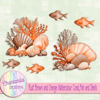 Free rust brown and orange watercolour coral fish and shells