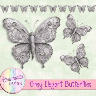 Free grey elegant butterflies