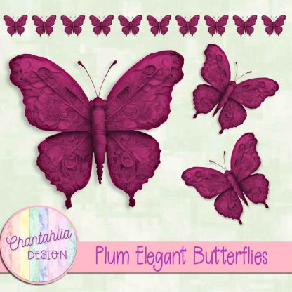 Free plum elegant butterflies