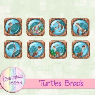 Free brads in a Turtles theme