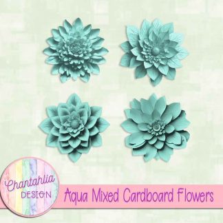 Free aqua mixed cardboard flowers