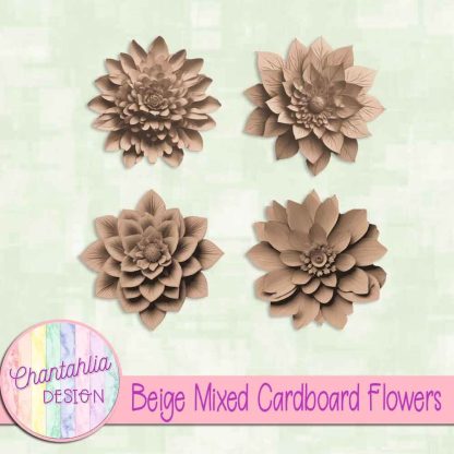 Free beige mixed cardboard flowers