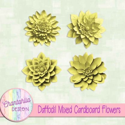Free daffodil mixed cardboard flowers