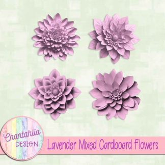 Free lavender mixed cardboard flowers