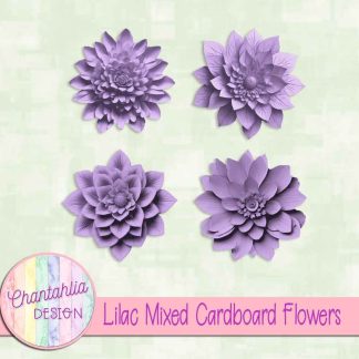 Free lilac mixed cardboard flowers