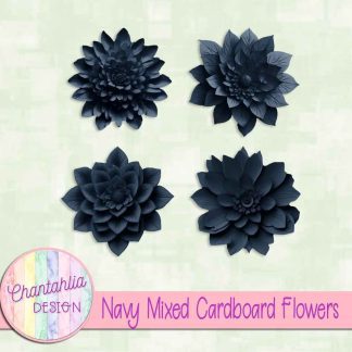 Free navy mixed cardboard flowers
