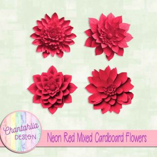 Free neon red mixed cardboard flowers