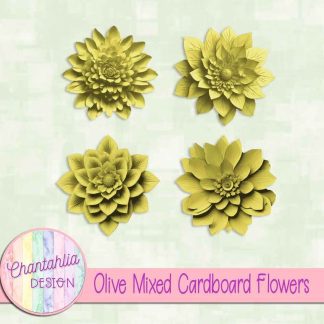 Free olive mixed cardboard flowers