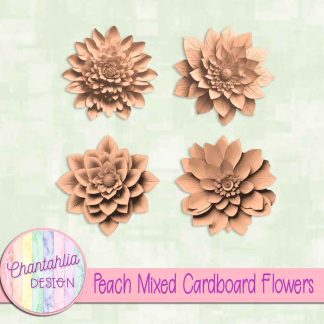 Free peach mixed cardboard flowers