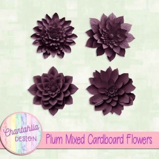 Free plum mixed cardboard flowers