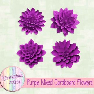 Free purple mixed cardboard flowers