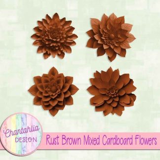 Free rust brown mixed cardboard flowers