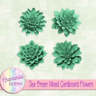 Free sea green mixed cardboard flowers