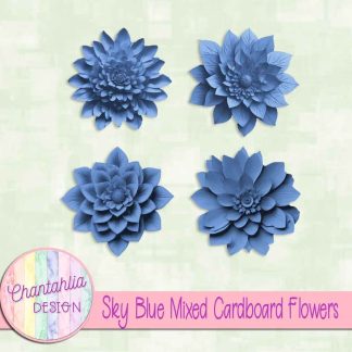Free sky blue mixed cardboard flowers