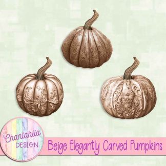 Free beige elegantly carved pumpkins