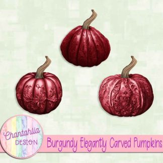Free burgundy elegantly carved pumpkins