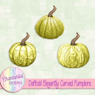 Free daffodil elegantly carved pumpkins