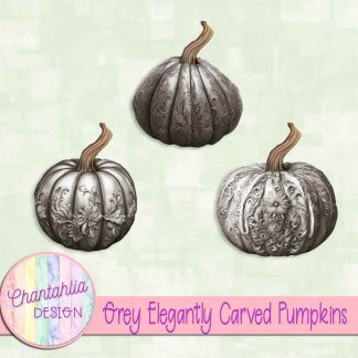 Free grey elegantly carved pumpkins