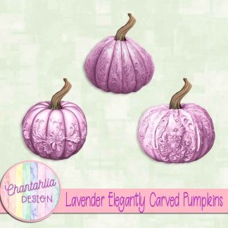 Free lavender elegantly carved pumpkins