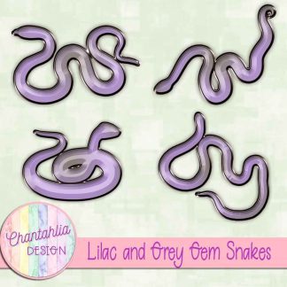 Free lilac and grey gem snakes
