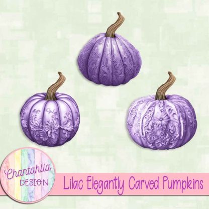 Free lilac elegantly carved pumpkins