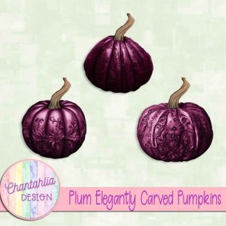 Free plum elegantly carved pumpkins