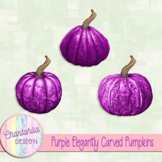 Free purple elegantly carved pumpkins