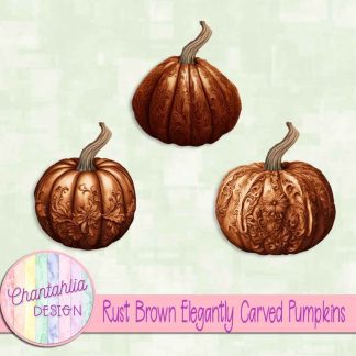 Free rust brown elegantly carved pumpkins