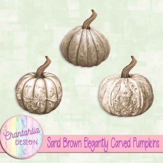 Free sand brown elegantly carved pumpkins