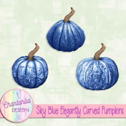 Free sky blue elegantly carved pumpkins