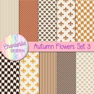Free digital papers in an Autumn Flowers theme