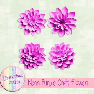 Free neon purple craft flowers