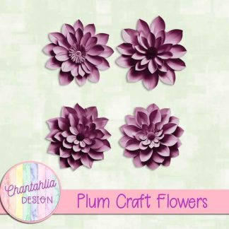 Free plum craft flowers