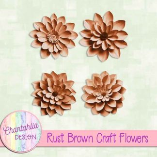 Free rust brown craft flowers