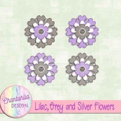 Free lilac grey and silver flowers