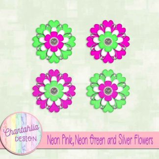 Free neon pink neon green and silver flowers