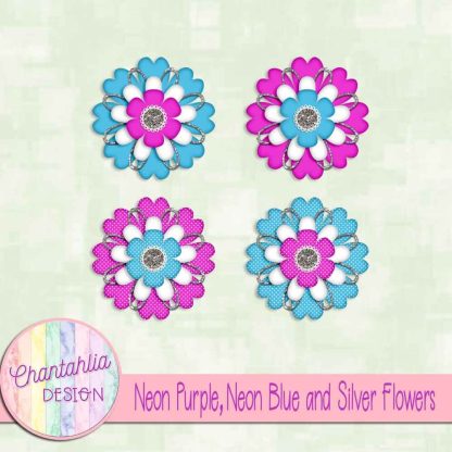 Neon Purple, Neon Blue and Silver Flowers