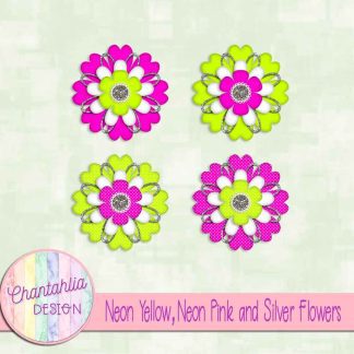 Free neon yellow neon pink and silver flowers