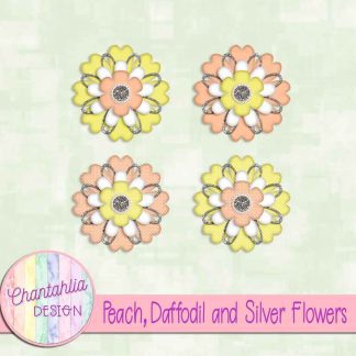 Free peach daffodil and silver flowers