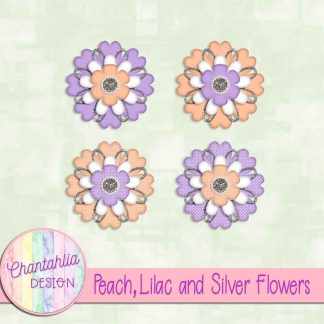 Free peach lilac and silver flowers