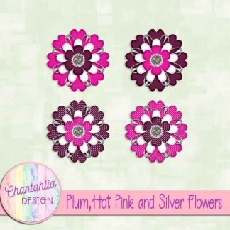 Free plum hot pink and silver flowers