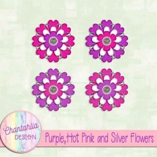 Free purple hot pink and silver flowers