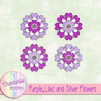 Free purple lilac and silver flowers