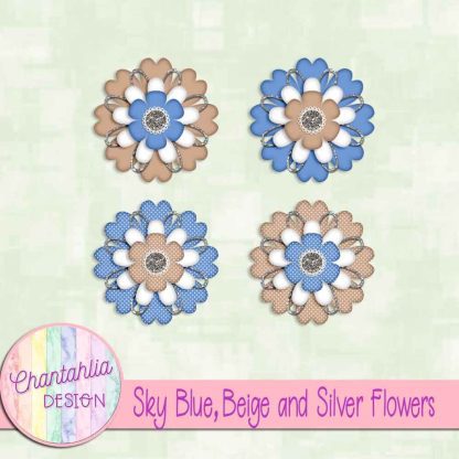 Free sky blue beige and silver flowers