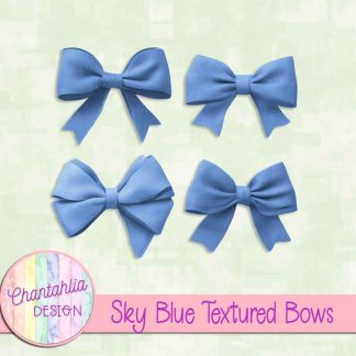 Free sky blue textured bows